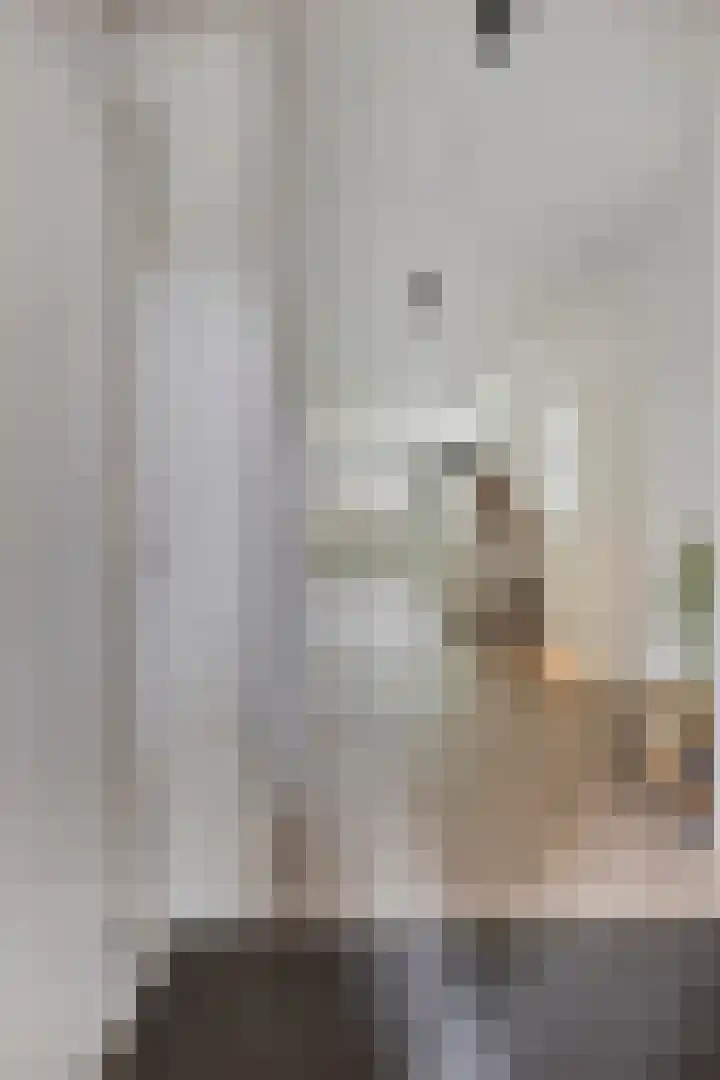 Raadhuislaan 45 B Oss thumbnail 5