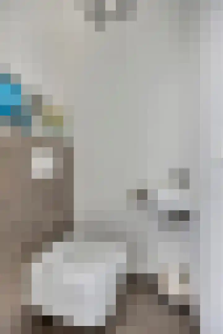 Raadhuislaan 45 B Oss thumbnail 6
