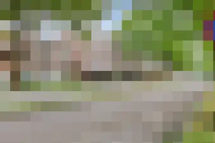 Raadhuislaan 45 B Oss thumbnail 8