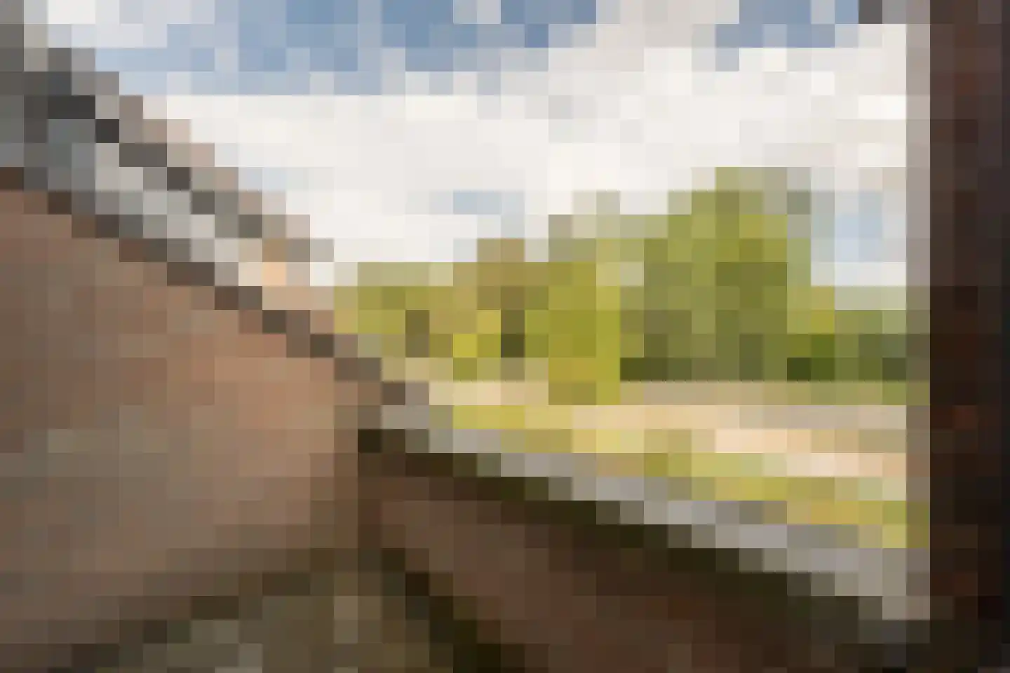 Raadhuislaan 49 Mijnsheerenland thumbnail 15