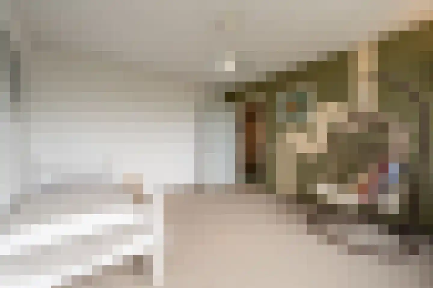 Raadhuislaan 49 Mijnsheerenland thumbnail 16