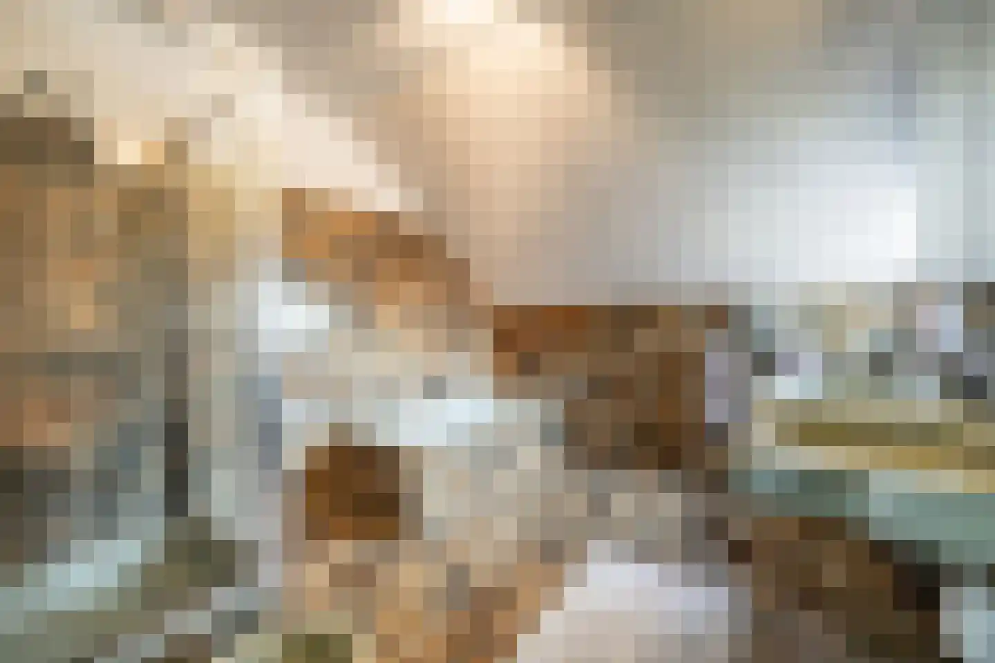 Raadhuislaan 49 Mijnsheerenland thumbnail 19