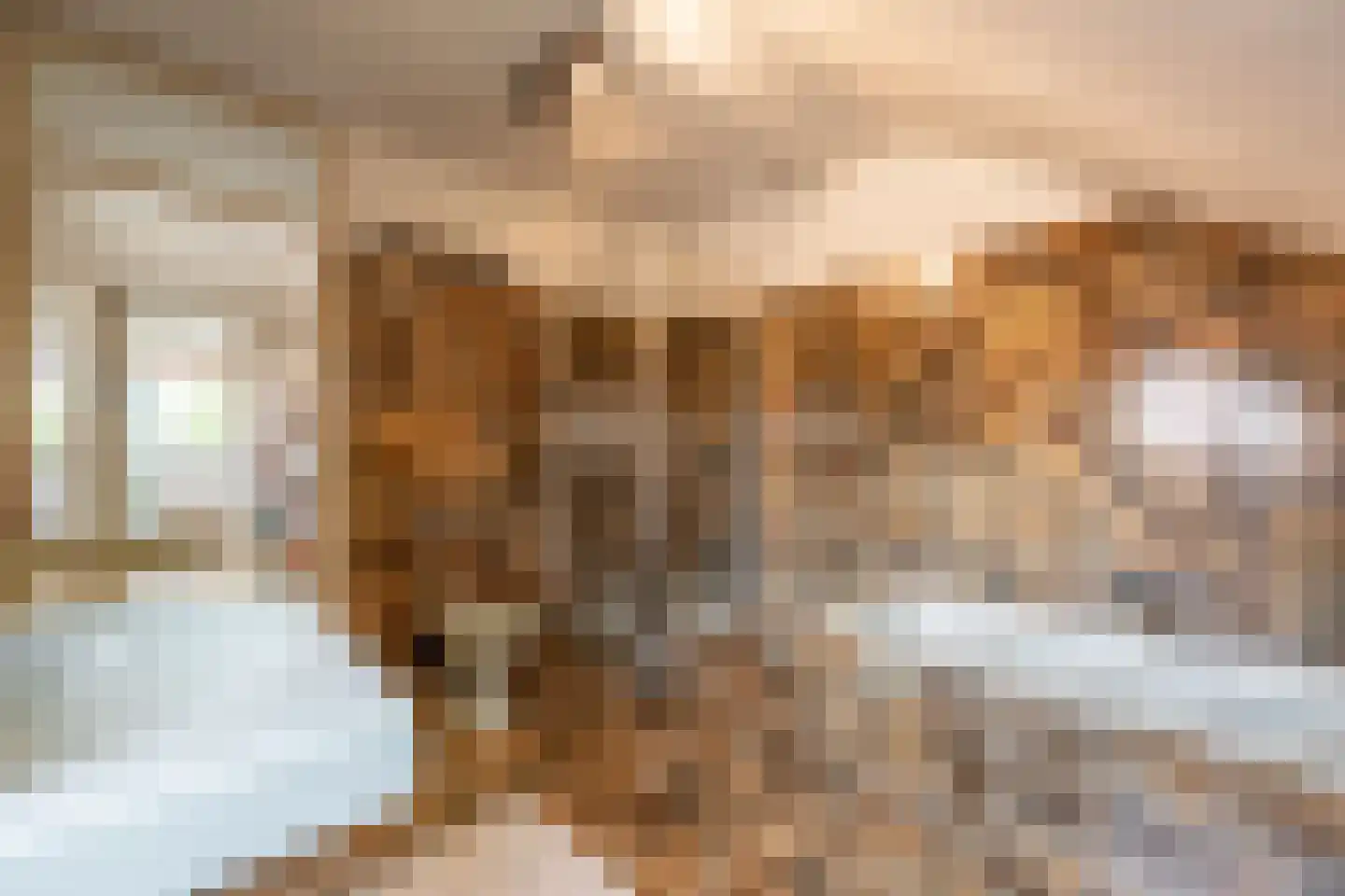 Raadhuislaan 49 Mijnsheerenland thumbnail 20