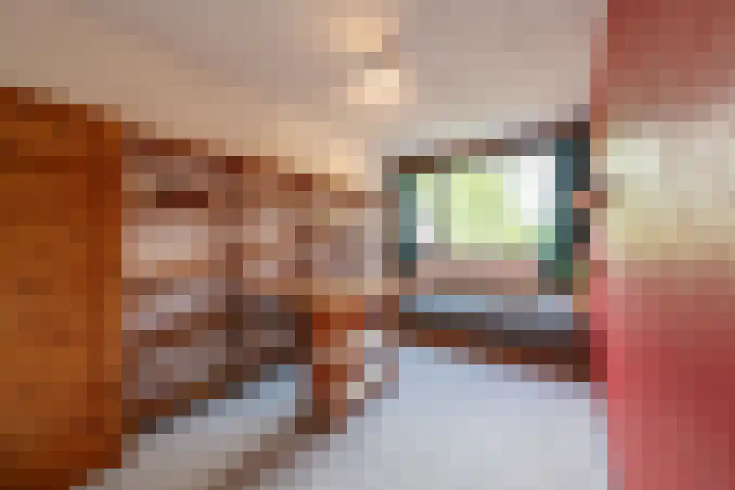 Raadhuislaan 49 Mijnsheerenland thumbnail 21