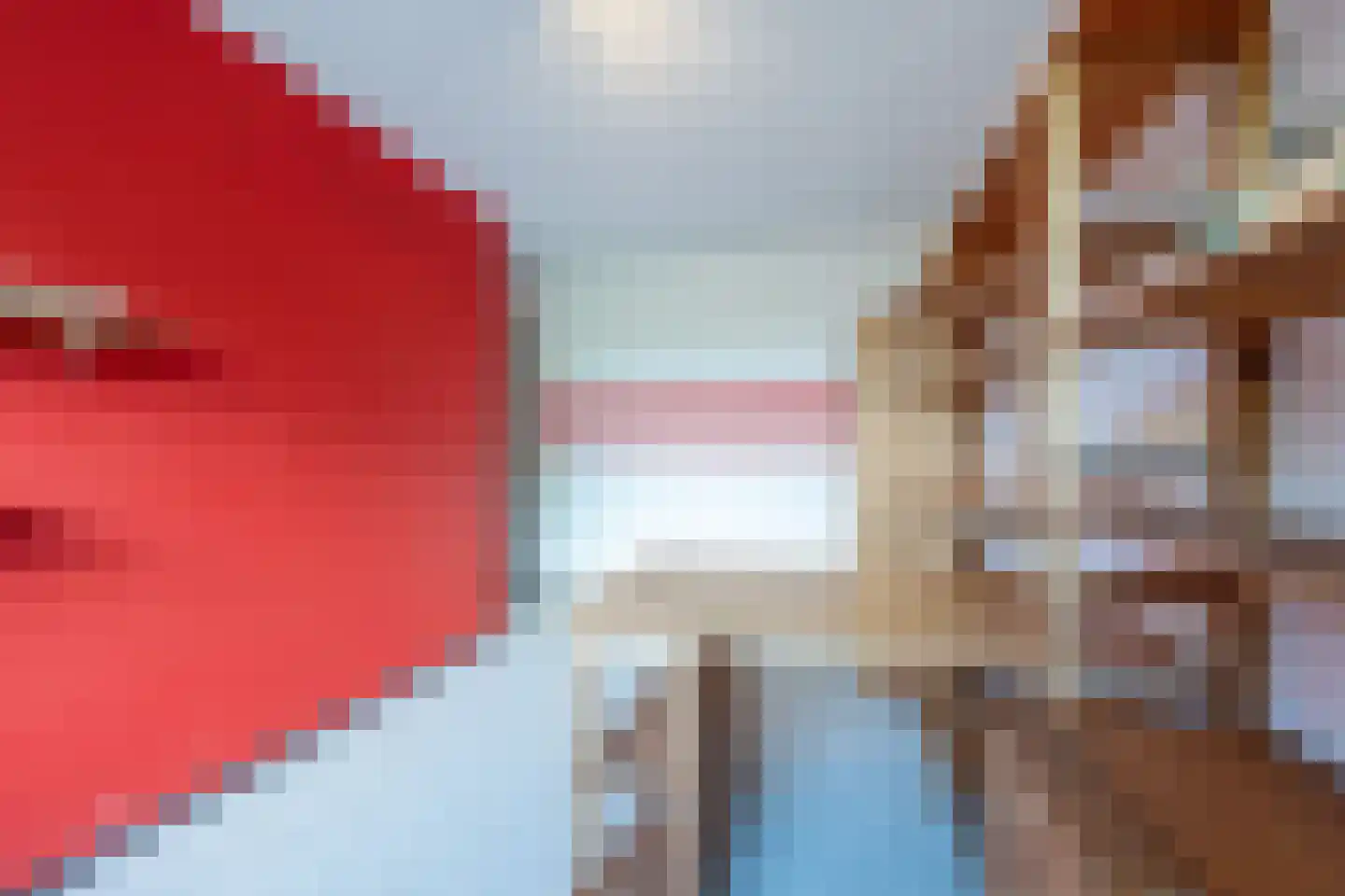 Raadhuislaan 49 Mijnsheerenland thumbnail 22