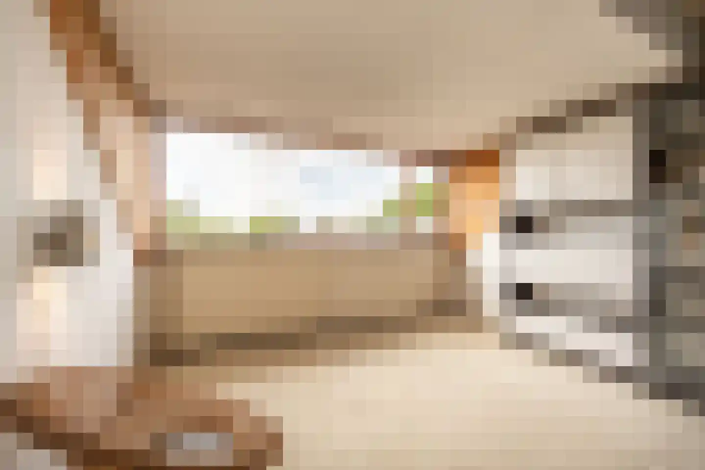 Raadhuislaan 49 Mijnsheerenland thumbnail 25
