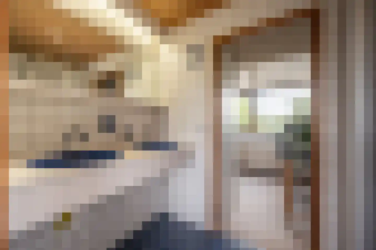 Raadhuislaan 49 Mijnsheerenland thumbnail 27