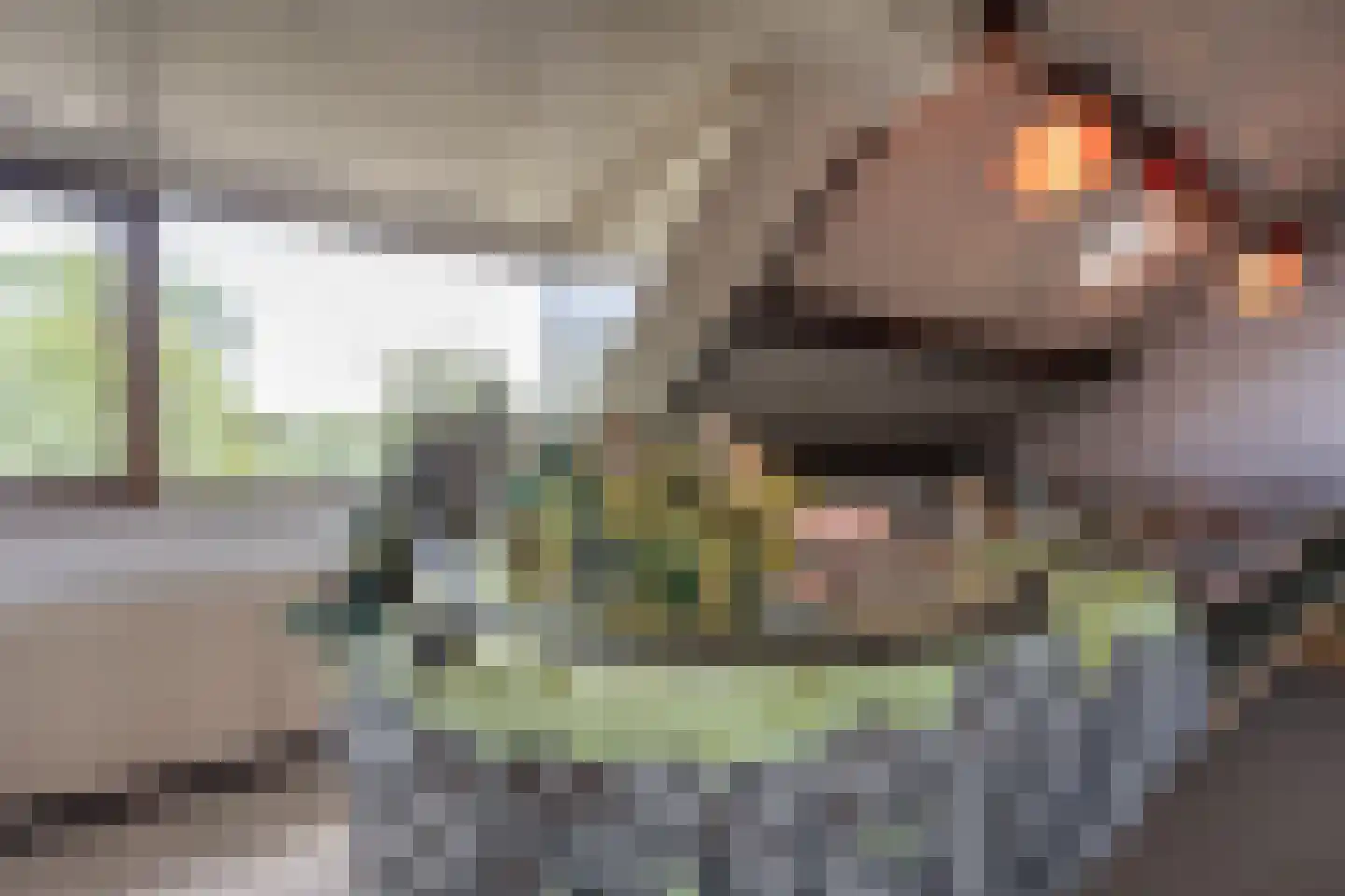 Raadhuislaan 49 Mijnsheerenland thumbnail 29