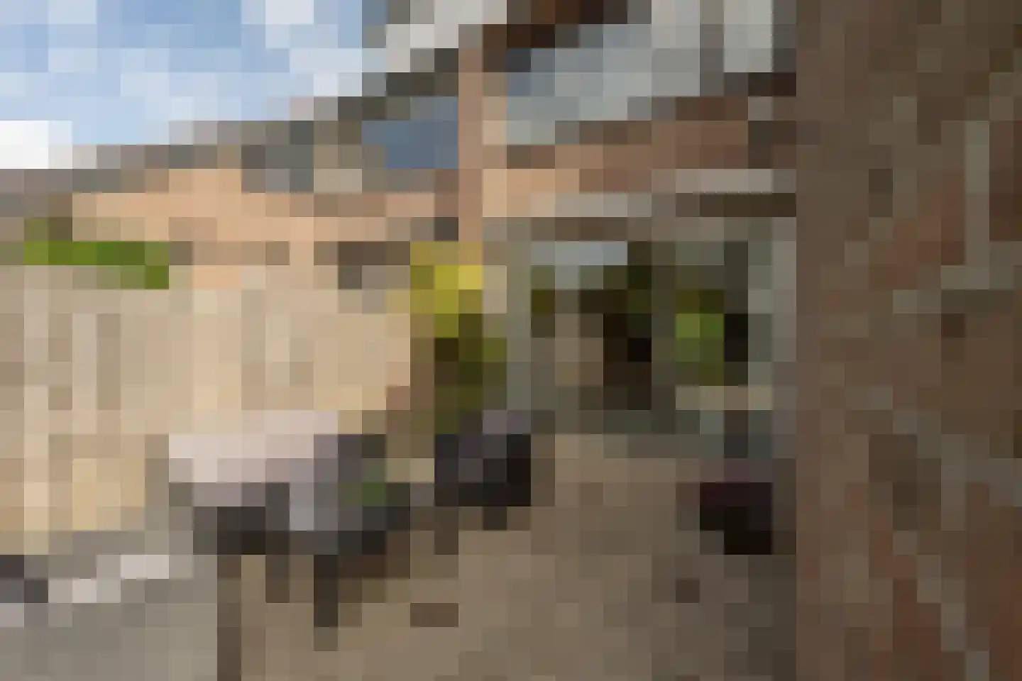 Raadhuislaan 49 Mijnsheerenland thumbnail 30