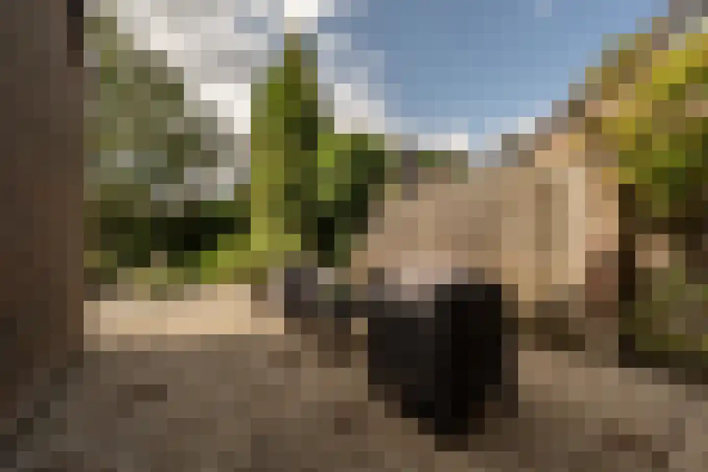 Raadhuislaan 49 Mijnsheerenland thumbnail 31