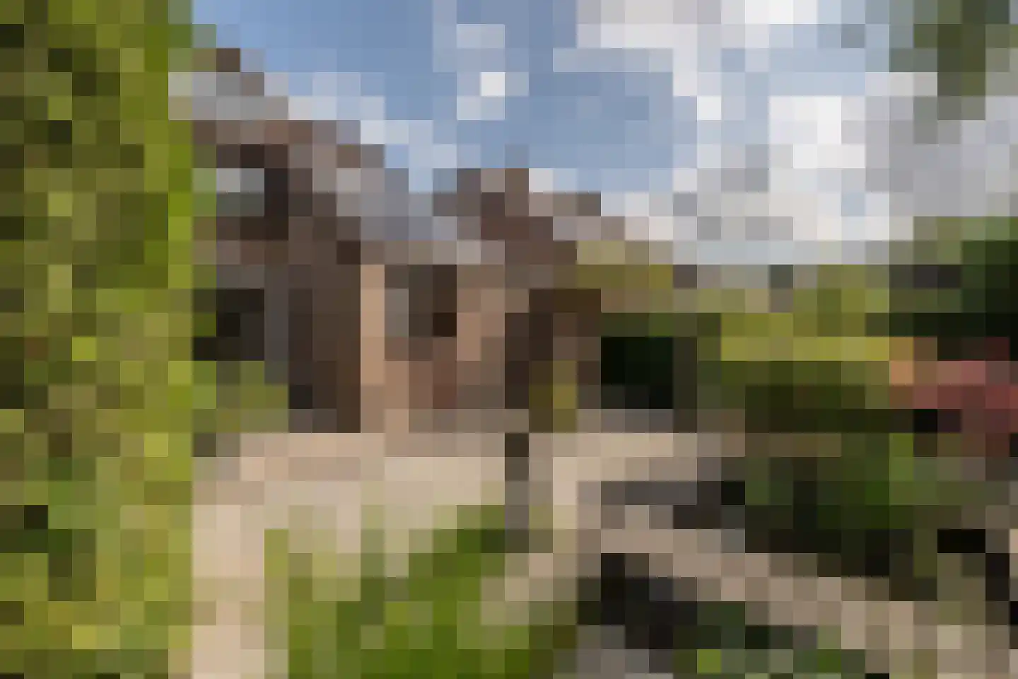 Raadhuislaan 49 Mijnsheerenland thumbnail 32