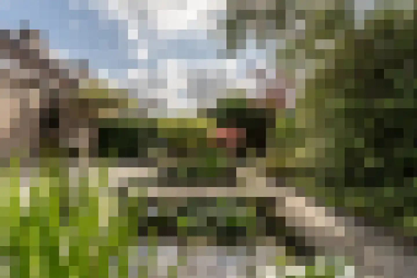 Raadhuislaan 49 Mijnsheerenland thumbnail 33