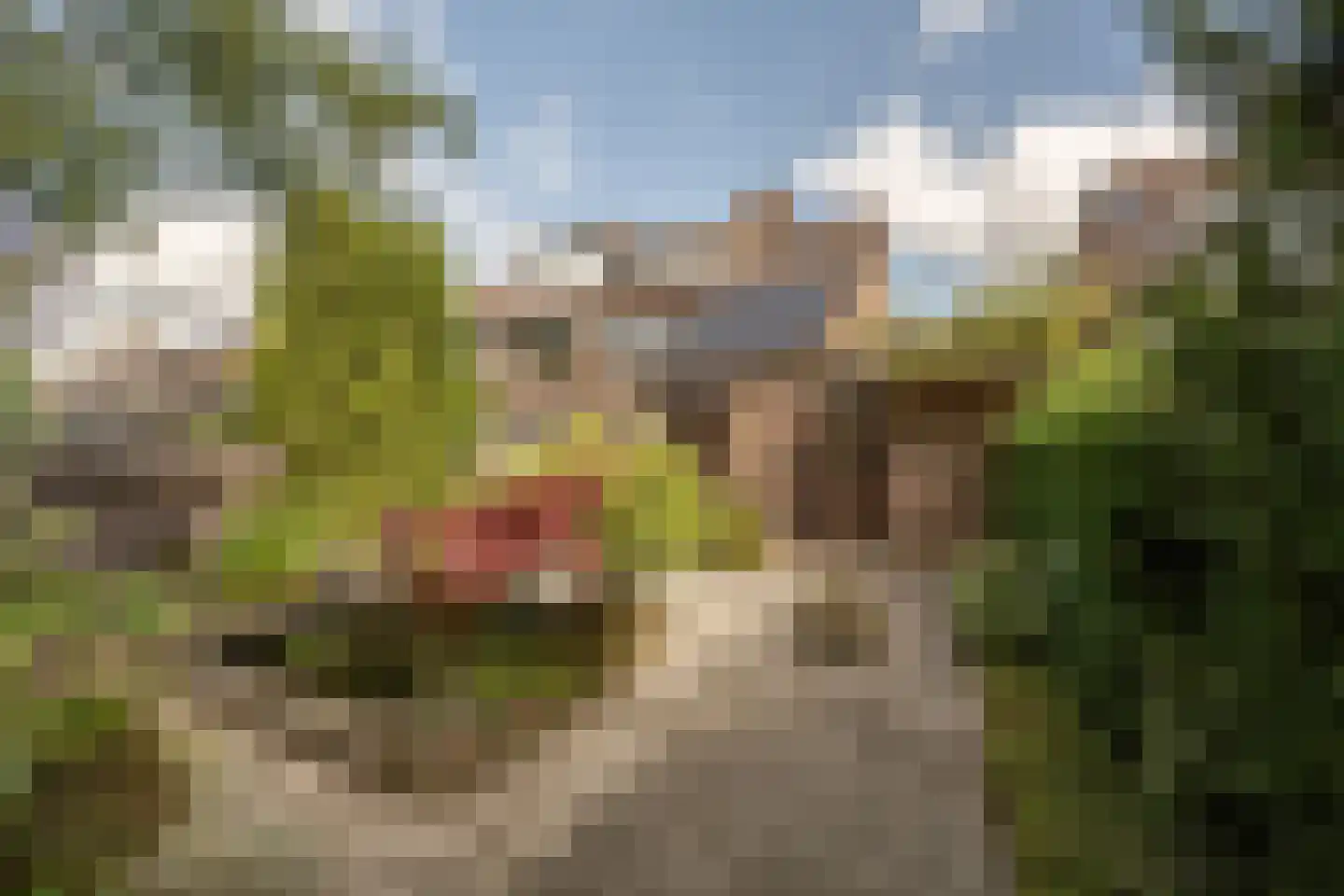 Raadhuislaan 49 Mijnsheerenland thumbnail 34