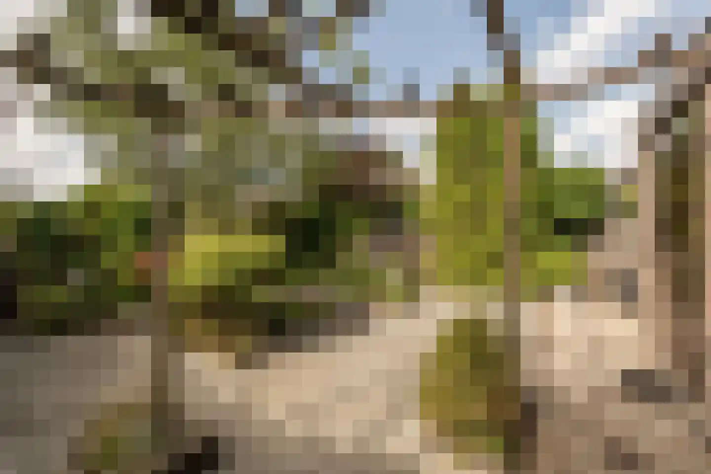 Raadhuislaan 49 Mijnsheerenland thumbnail 35