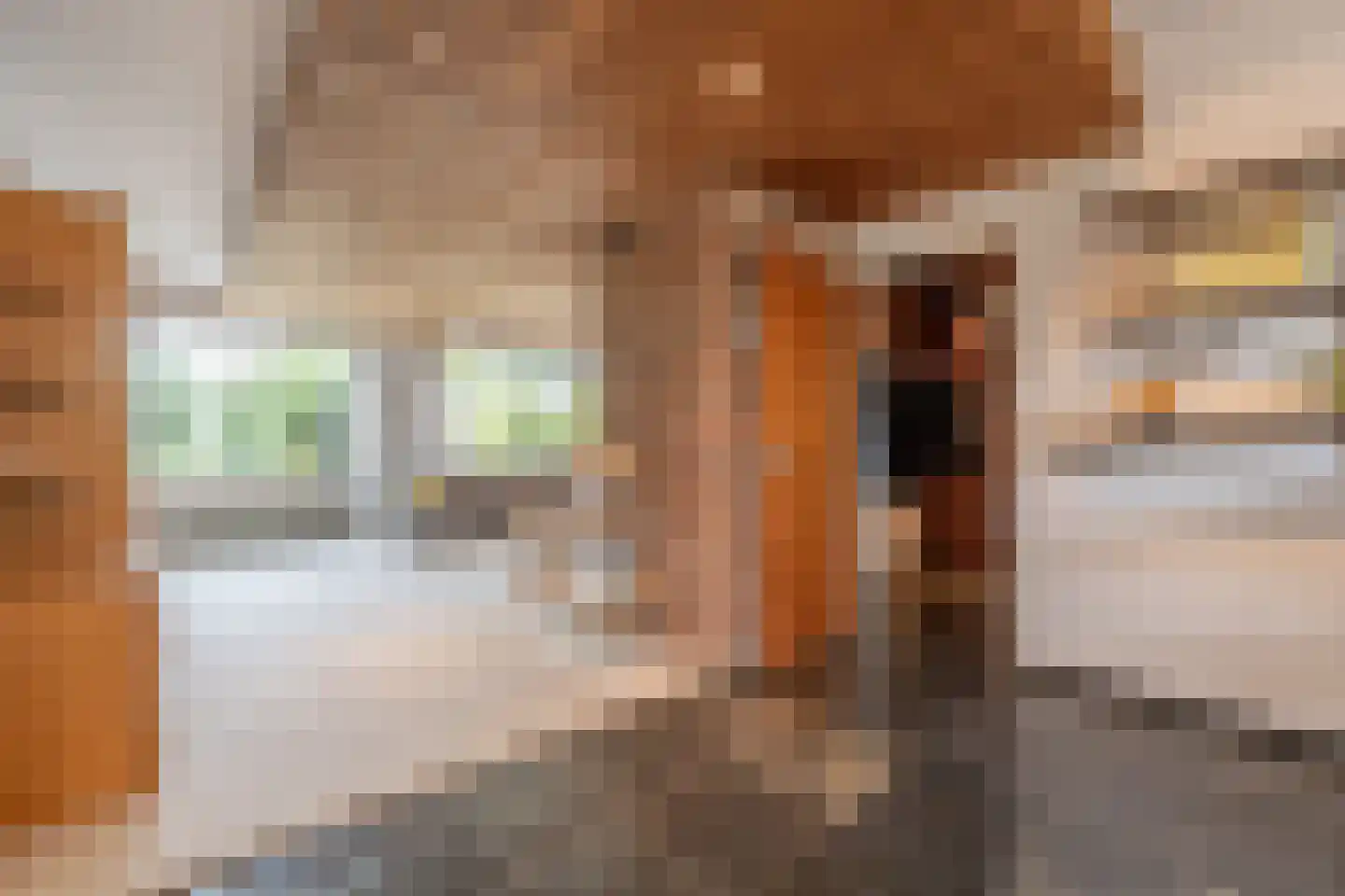 Raadhuislaan 49 Mijnsheerenland thumbnail 5