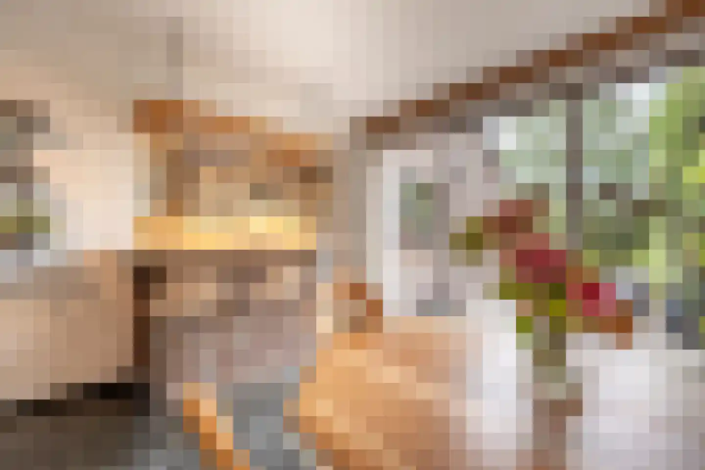 Raadhuislaan 49 Mijnsheerenland thumbnail 7