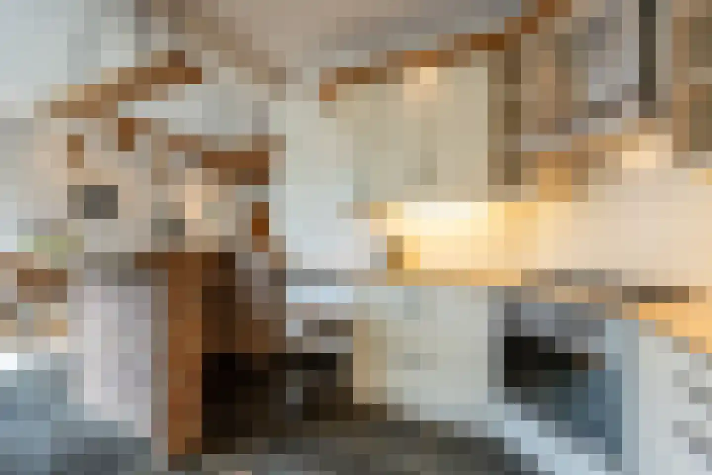 Raadhuislaan 49 Mijnsheerenland thumbnail 8