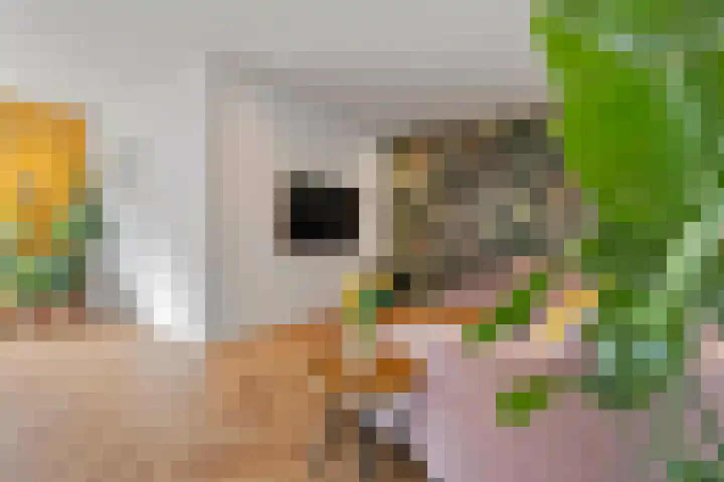 Raadhuislaan 5 Tegelen thumbnail 13