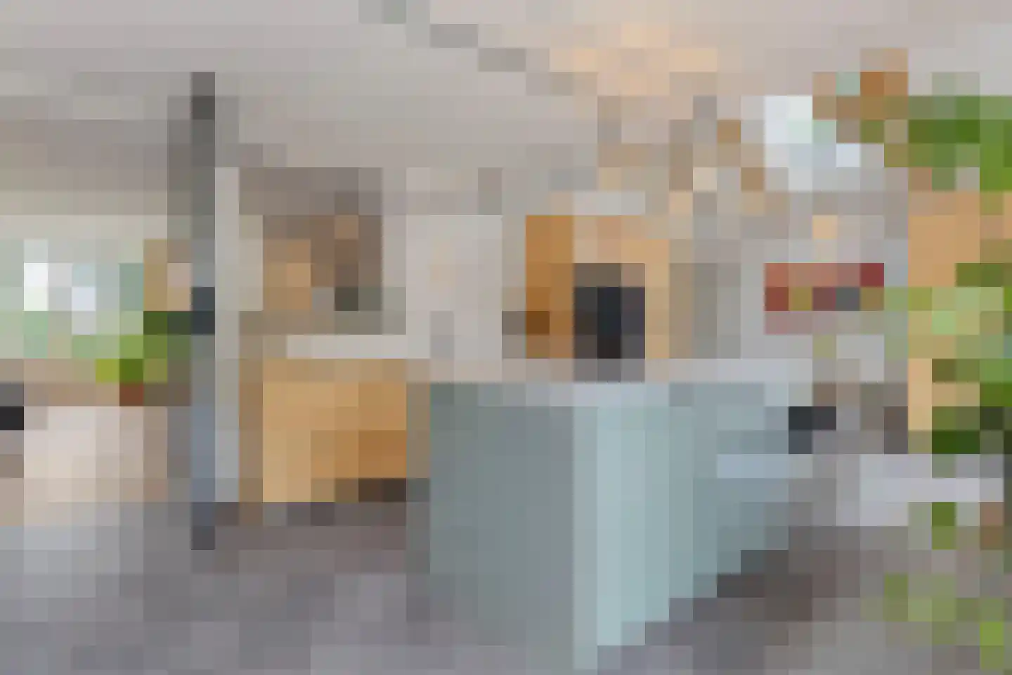 Raadhuislaan 5 Tegelen thumbnail 21