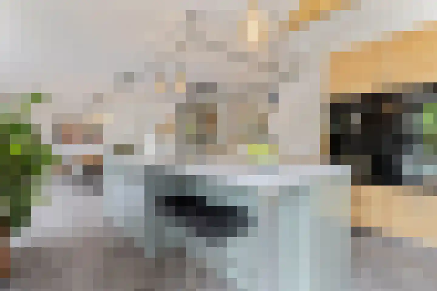 Raadhuislaan 5 Tegelen thumbnail 25