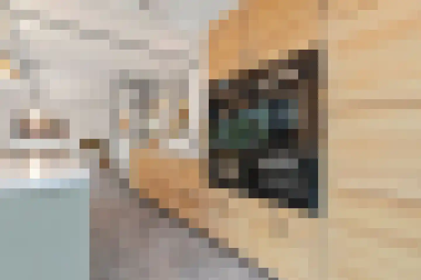 Raadhuislaan 5 Tegelen thumbnail 27