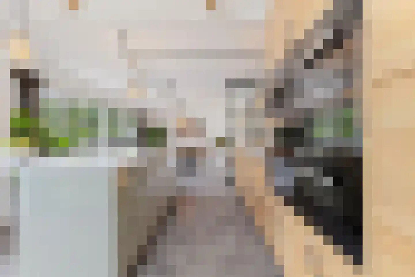 Raadhuislaan 5 Tegelen thumbnail 28