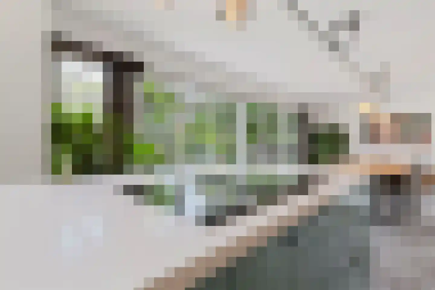 Raadhuislaan 5 Tegelen thumbnail 29