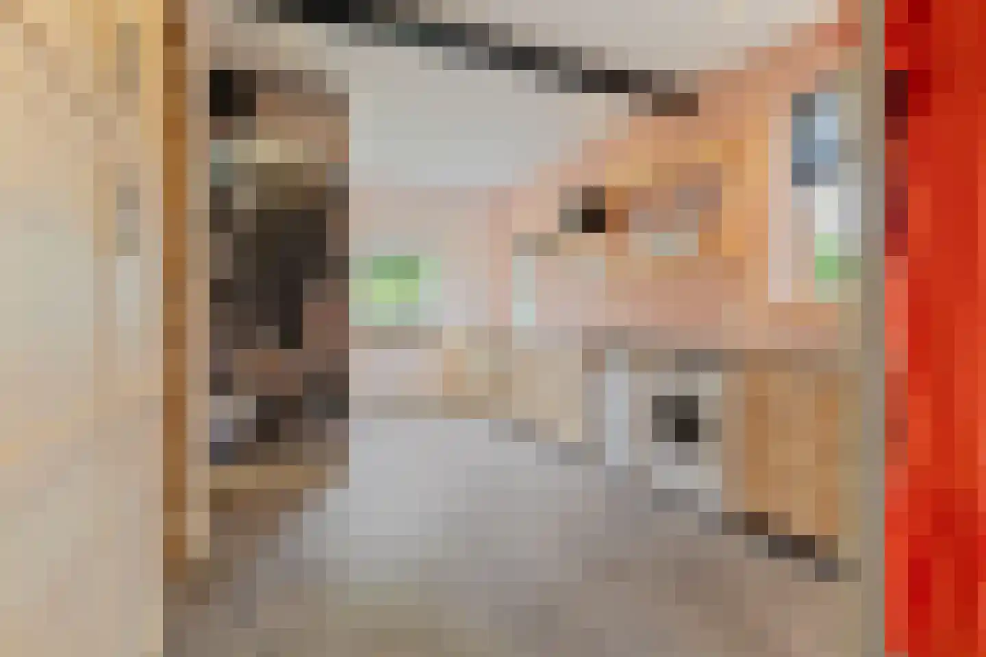 Raadhuislaan 5 Tegelen thumbnail 32