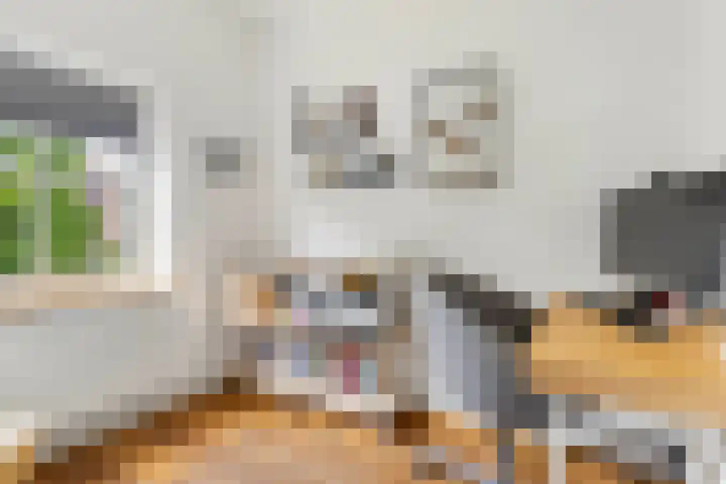 Raadhuislaan 5 Tegelen thumbnail 41