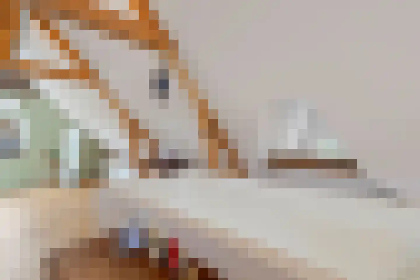 Raadhuislaan 5 Tegelen thumbnail 48