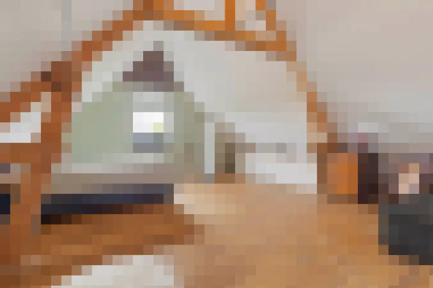 Raadhuislaan 5 Tegelen thumbnail 50