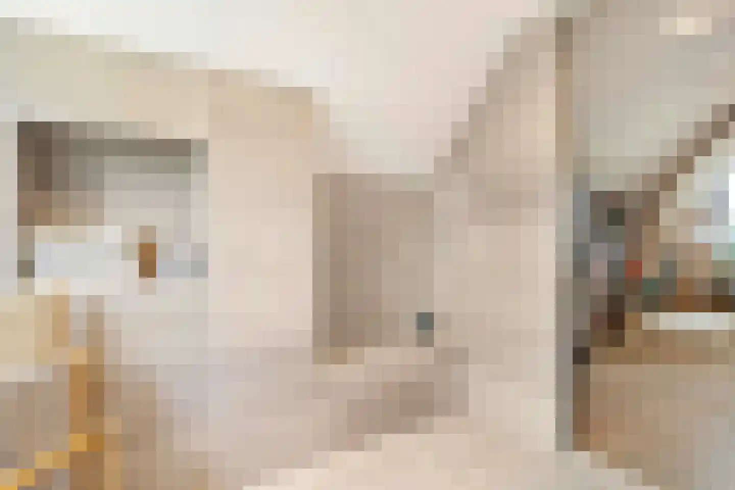 Raadhuislaan 5 Tegelen thumbnail 53