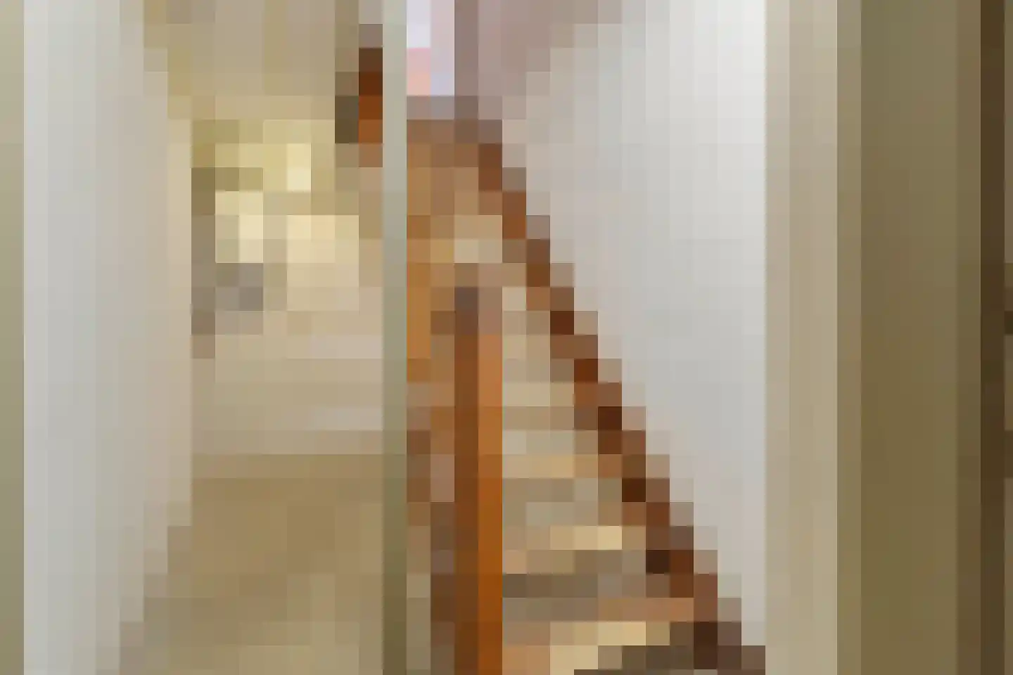 Raadhuislaan 5 Tegelen thumbnail 55