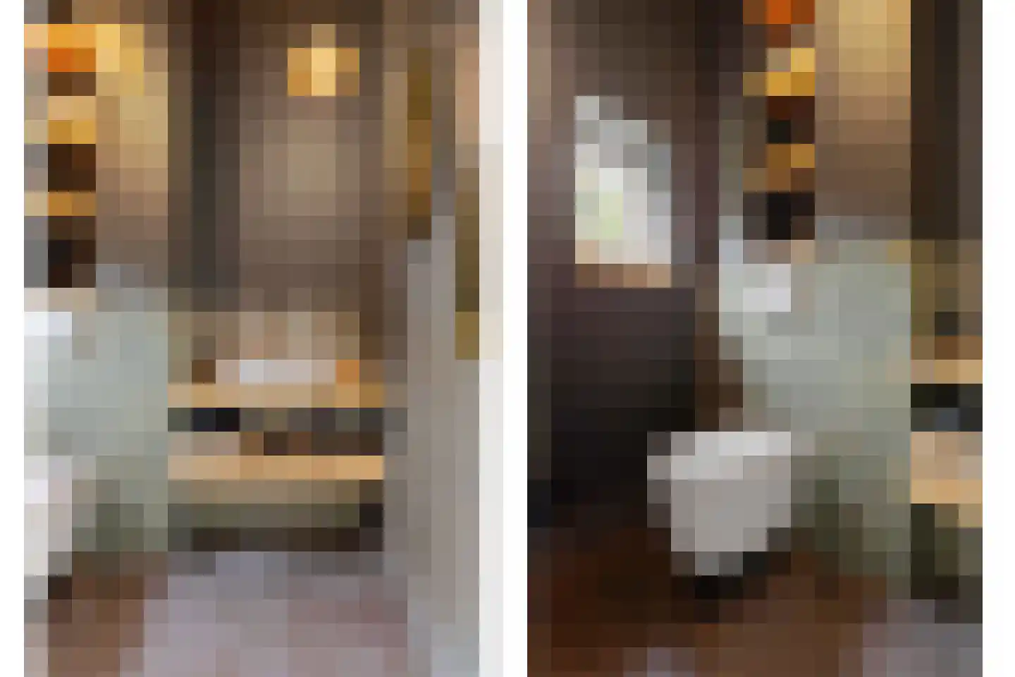 Raadhuislaan 5 Tegelen thumbnail 6