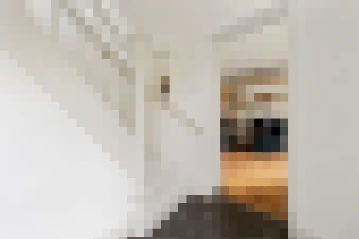 Raadhuislaan 5 Tegelen thumbnail 7