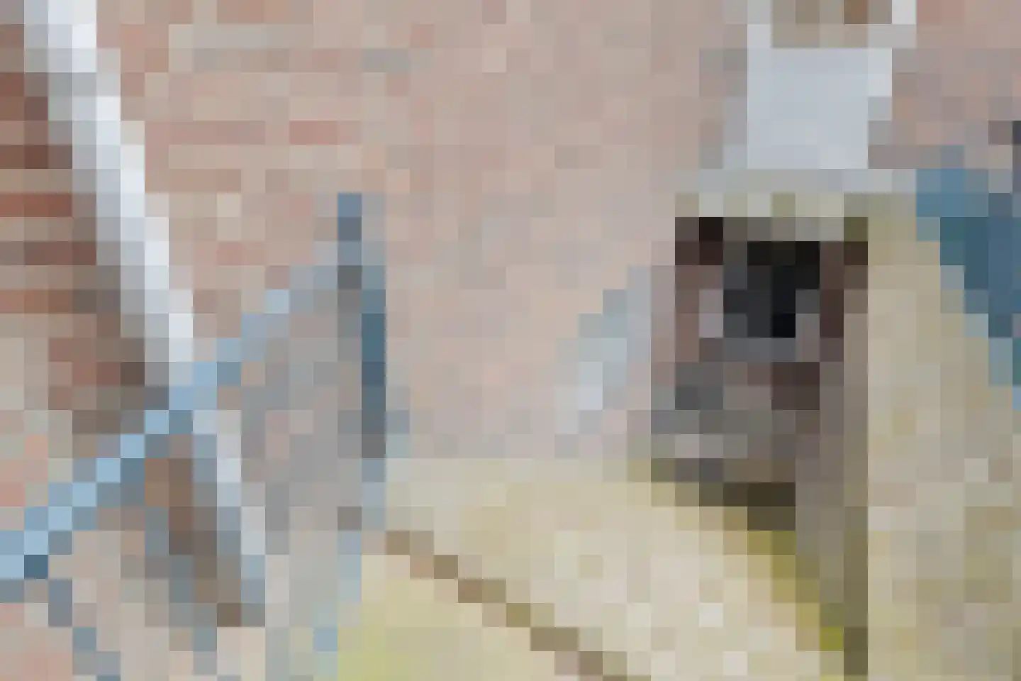 Raadhuislaan 5 Tegelen thumbnail 74