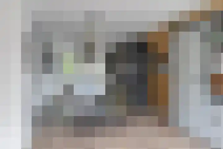 Raadhuislaan 57 Eemnes thumbnail 10