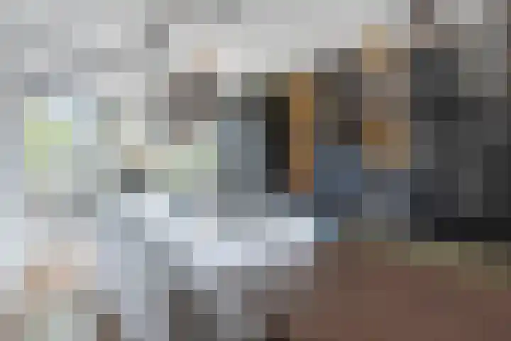 Raadhuislaan 57 Eemnes thumbnail 11