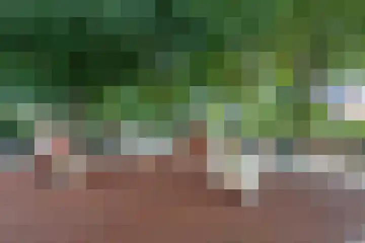 Raadhuislaan 57 Eemnes thumbnail 39