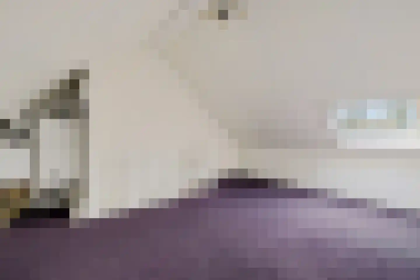 Raadhuislaan 59 Diever thumbnail 22