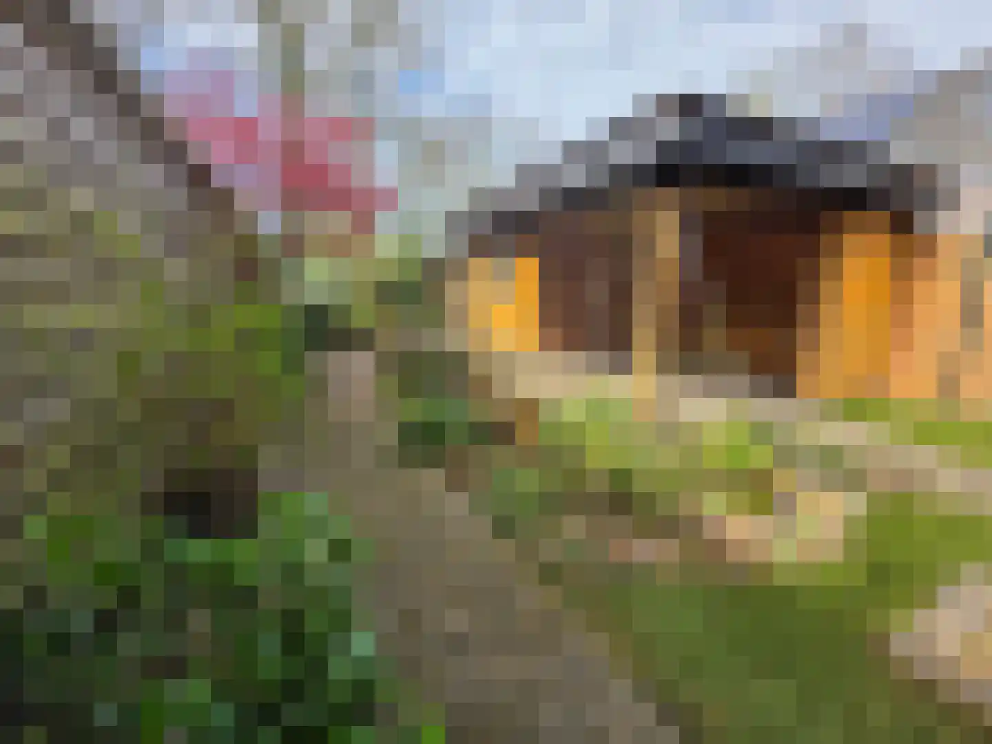 Raadhuislaan 59 Diever thumbnail 25
