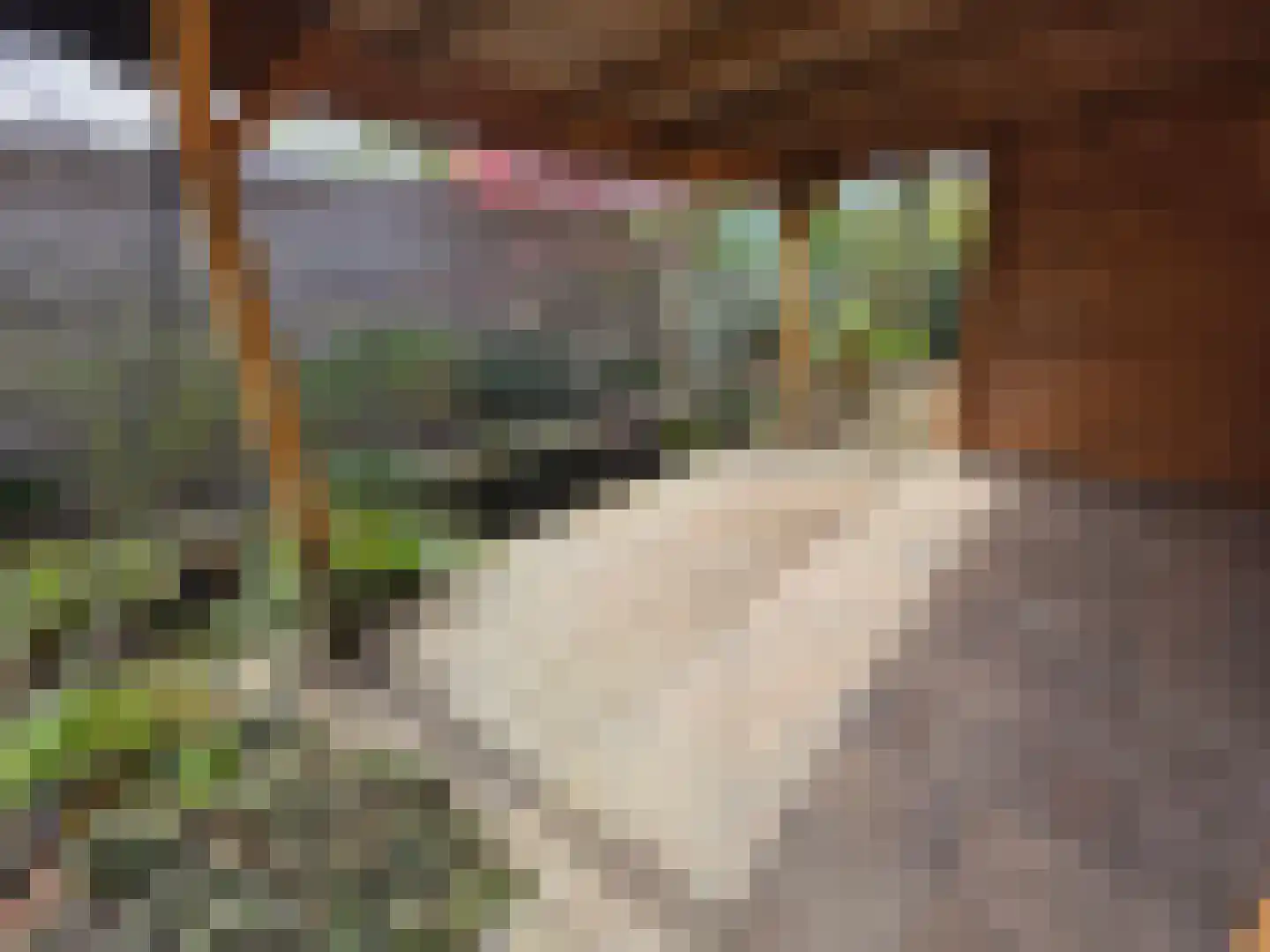 Raadhuislaan 59 Diever thumbnail 26