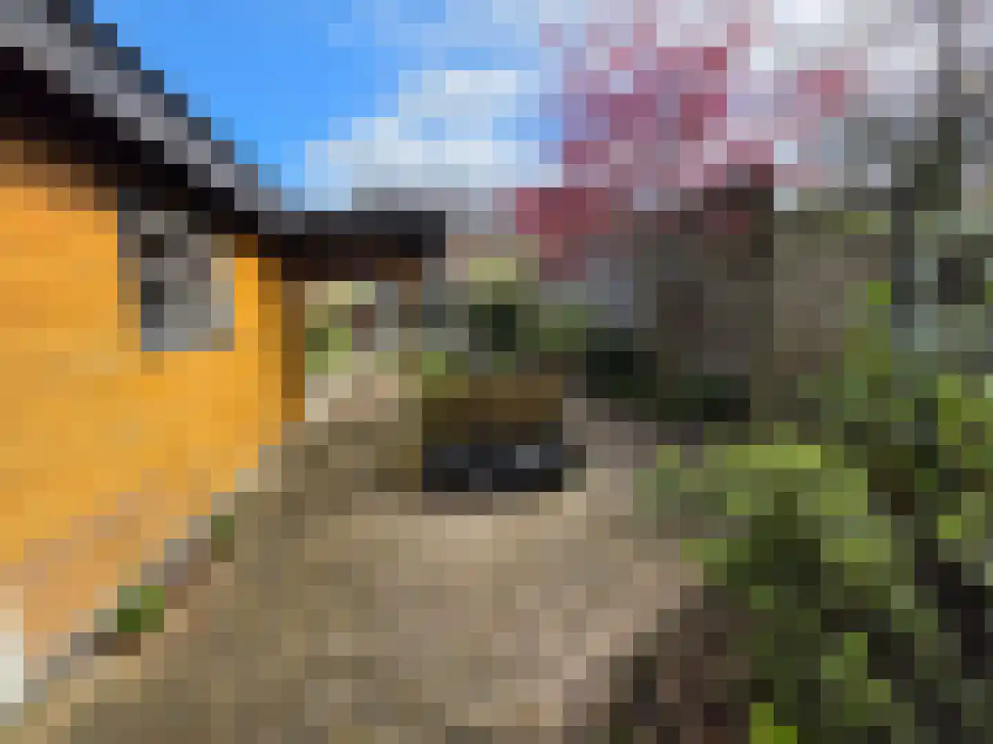 Raadhuislaan 59 Diever thumbnail 27
