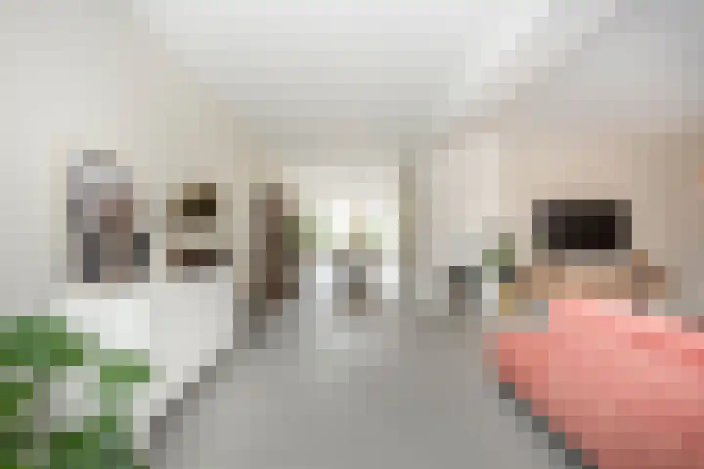 Raadhuislaan 59 Mijnsheerenland thumbnail 10