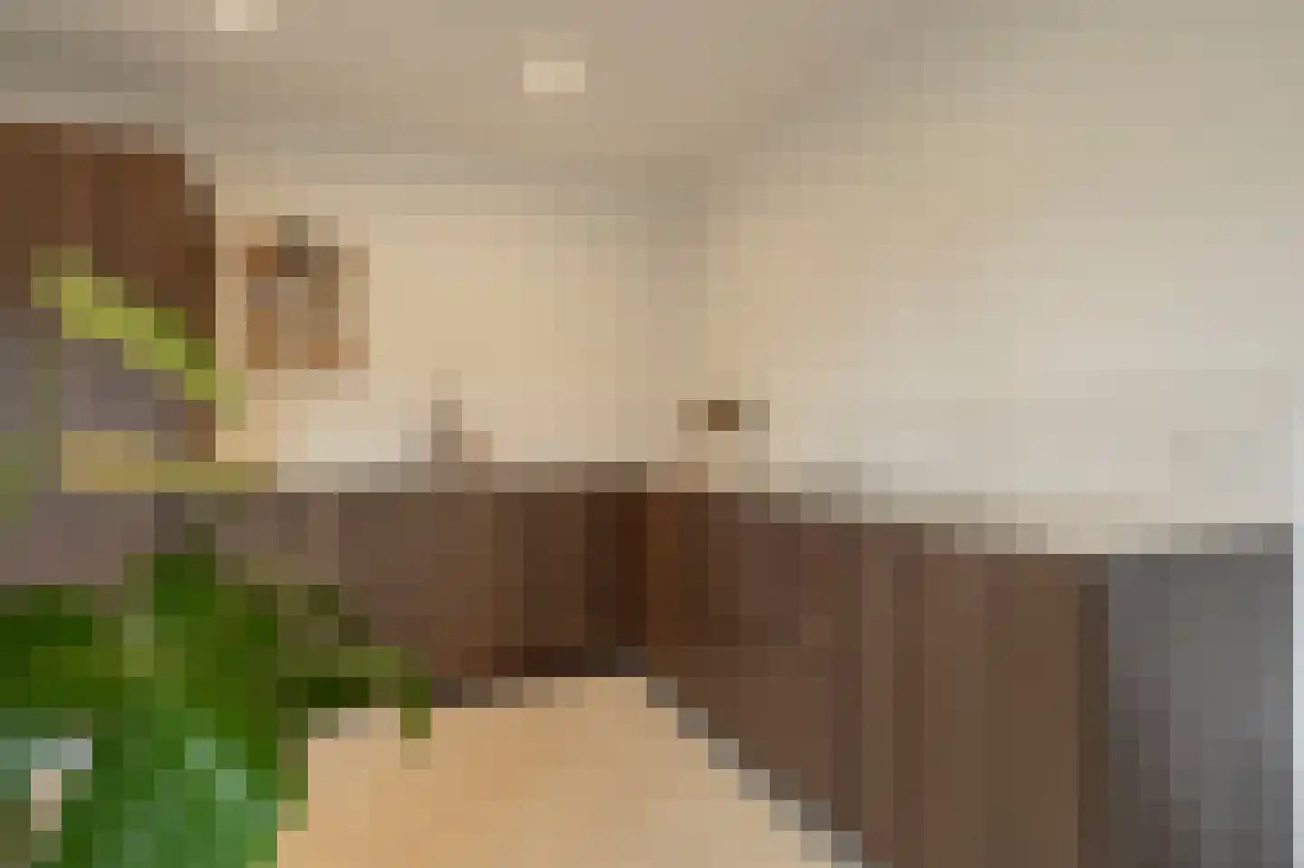 Raadhuislaan 59 Mijnsheerenland thumbnail 16