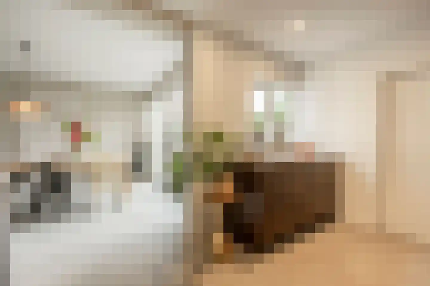 Raadhuislaan 59 Mijnsheerenland thumbnail 20