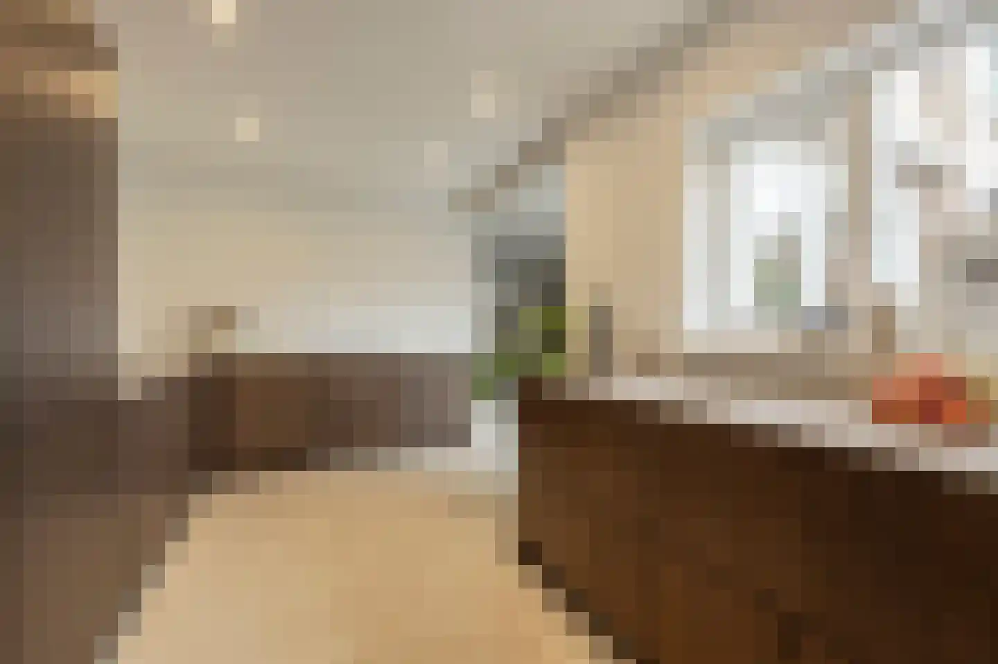 Raadhuislaan 59 Mijnsheerenland thumbnail 21
