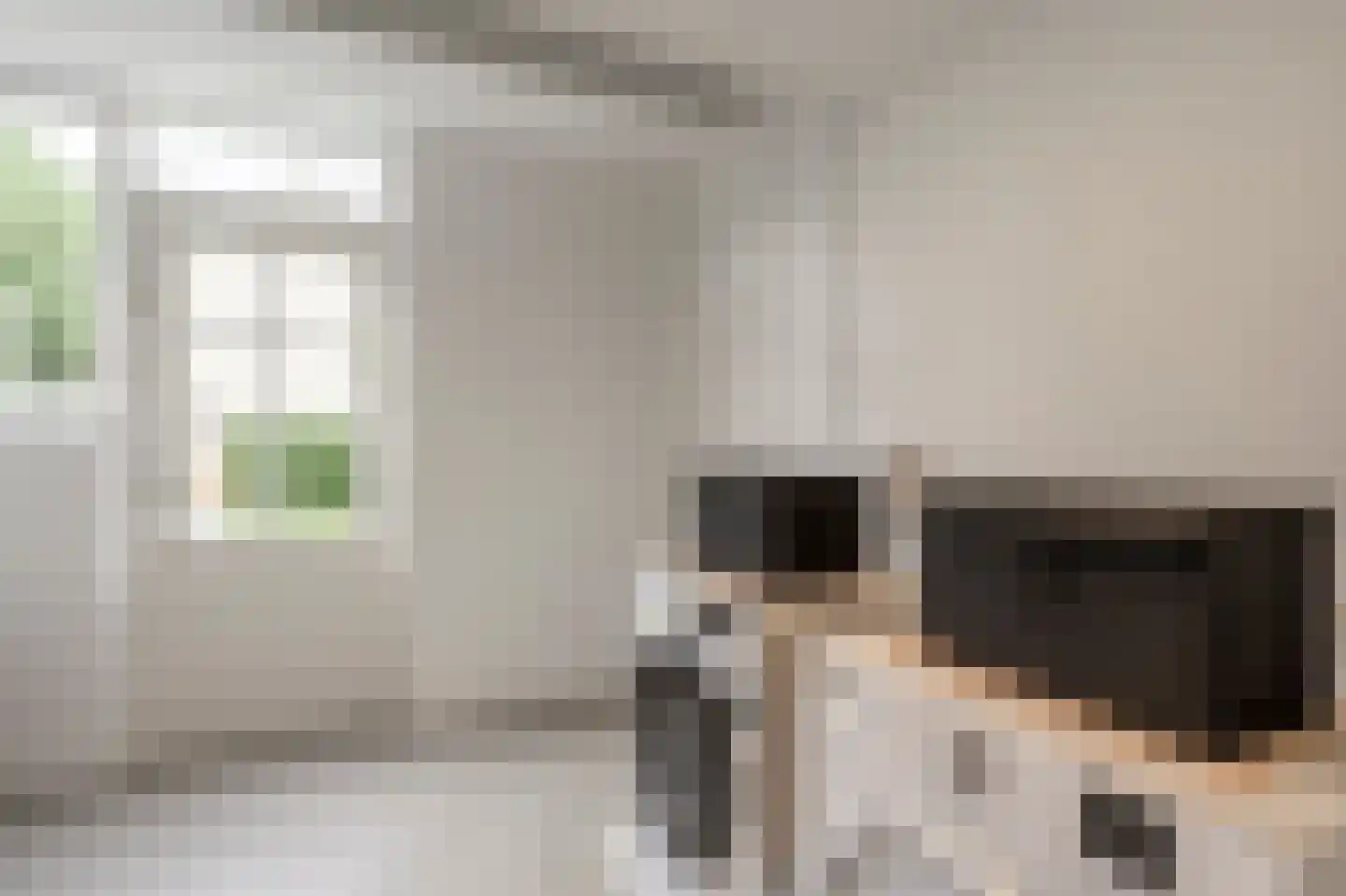 Raadhuislaan 59 Mijnsheerenland thumbnail 22