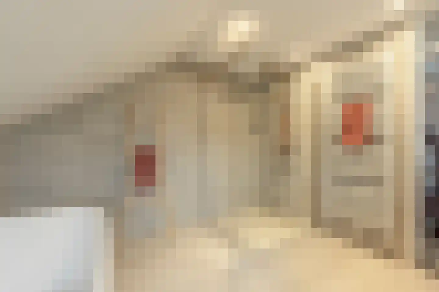Raadhuislaan 59 Mijnsheerenland thumbnail 33