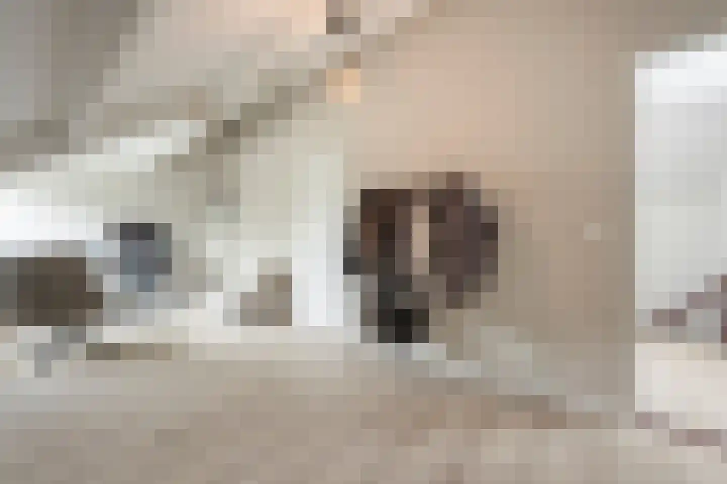 Raadhuislaan 59 Mijnsheerenland thumbnail 35